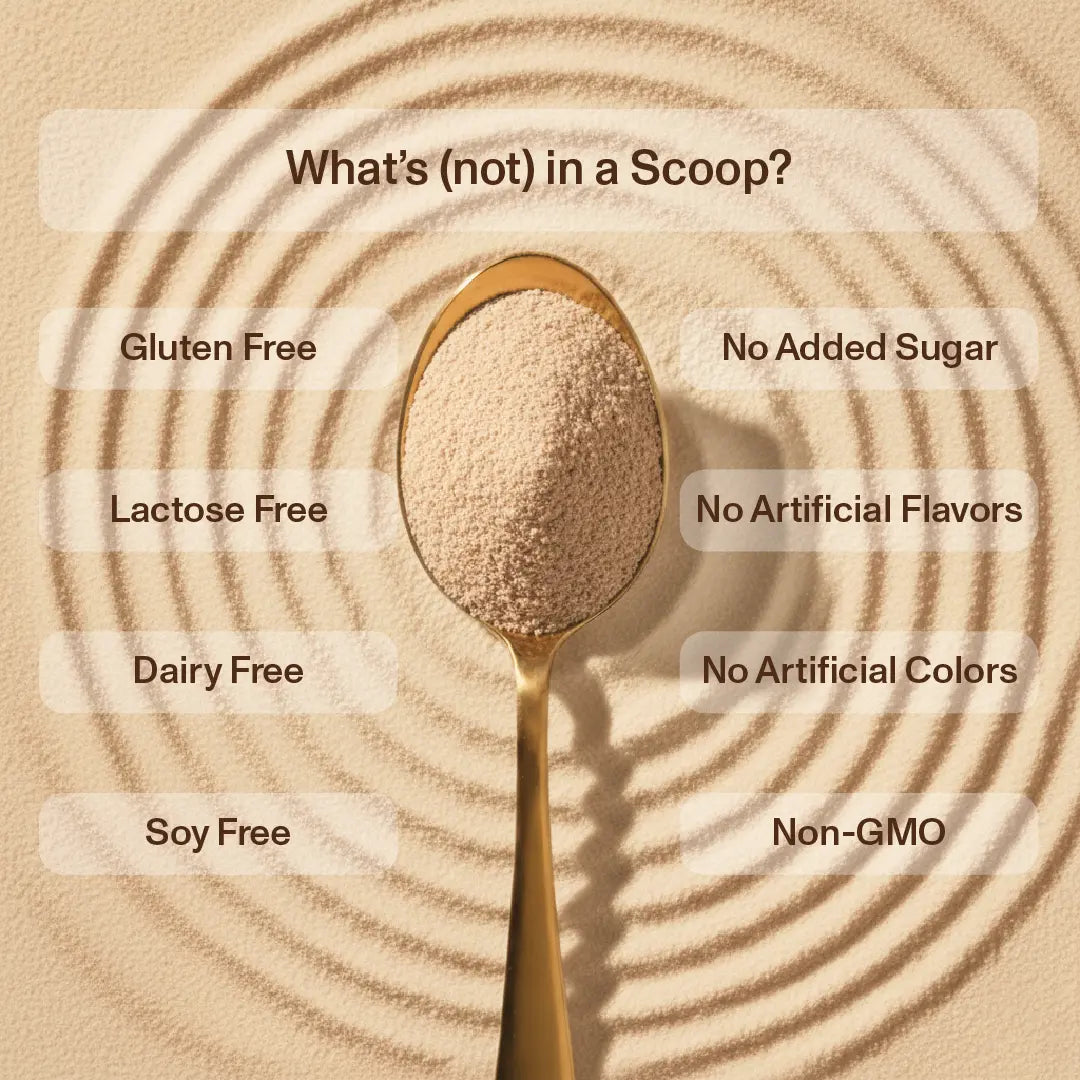 Supercharged Plant Protein - Mocha Fudge Flavour 500g
